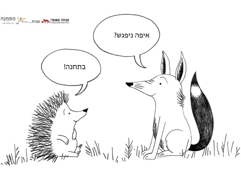קיפוד תחנה