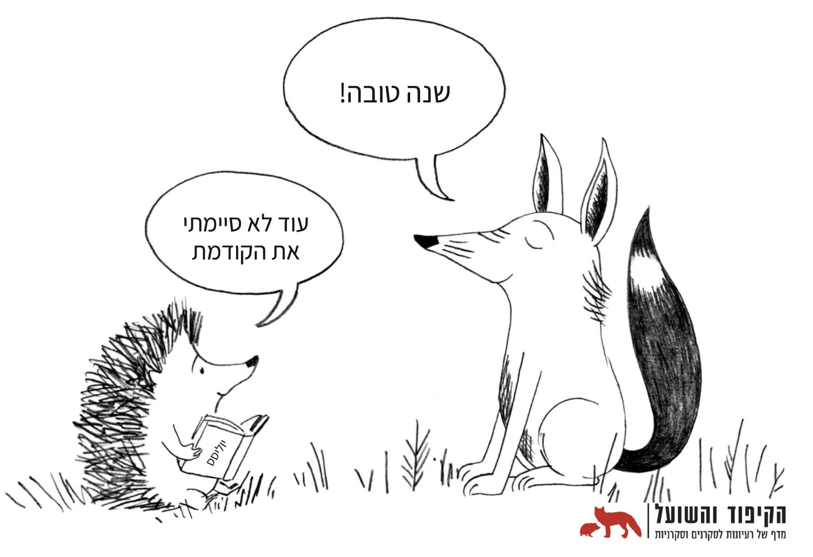 איור 53